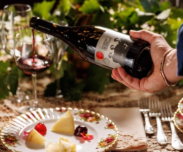 Desde Roma: Excursión a la Región Vinícola de Frascati con Cata de Vinos