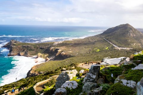 Cape Peninsula: Private Full Day Tour
