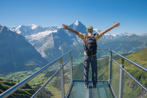 Private scenic day trip: Lucerne to Grindelwald & Interlaken