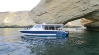 Muscat, Dolphin Watch & Snorkel Excursion - Housity