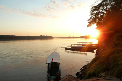 From Puerto Maldonado: 2-Day Tambopata Jungle Tour