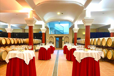 Au départ de Cadix : excursion privée premium d&#039;une journée à Ronda avec dégustation de vinsGROUPE JUSQU&#039;À 6 PERSONNES