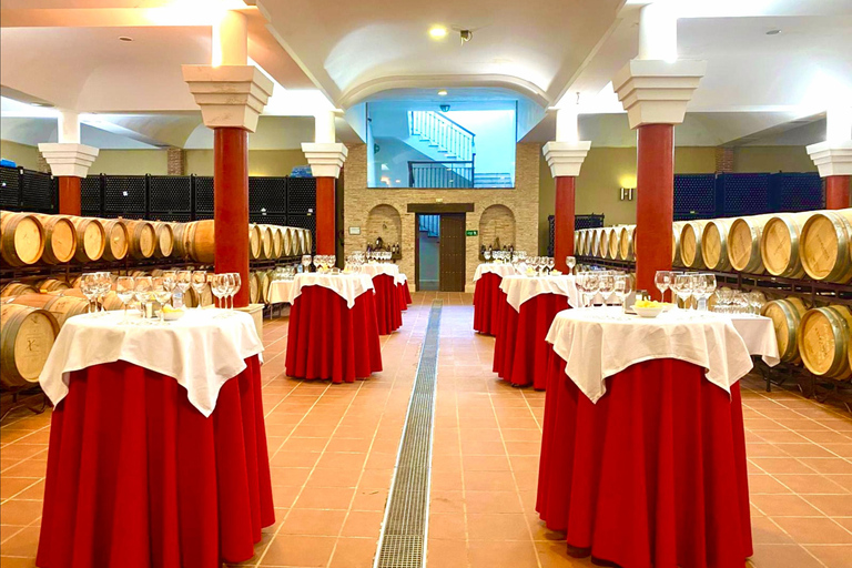 Au départ de Cadix : excursion privée premium d&#039;une journée à Ronda avec dégustation de vinsGROUPE JUSQU&#039;À 6 PERSONNES