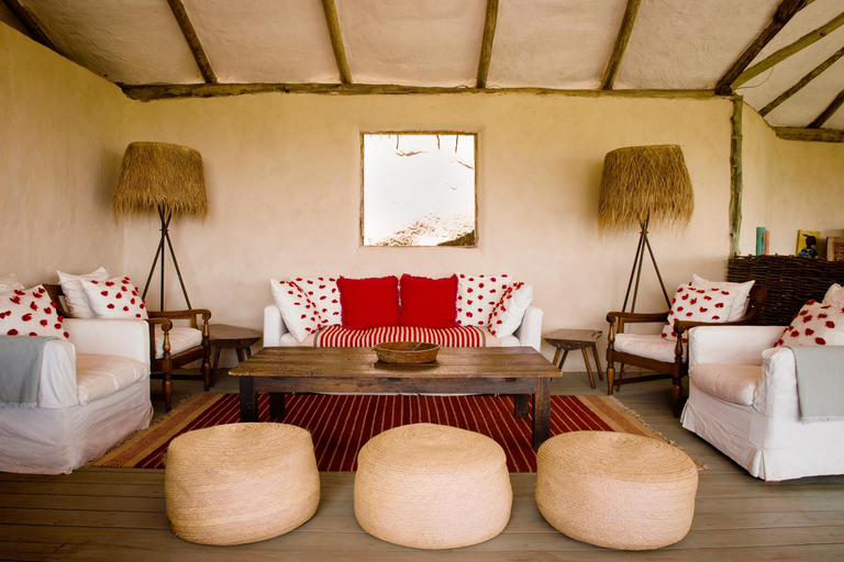 Au départ d'Arusha : safari dans le Serengeti, le Tarangire et le NgorongoroArusha : safari de 7 jours à Arusha, Tarangire et Serengeti