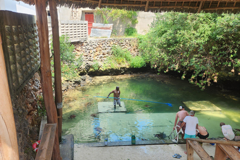 Zanzibar: Maasai Village Tour & Lagoon Aquarium Zanzibar: Maasai Village Tour without Lagoon Aquarium