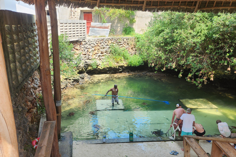 Zanzibar: Maasai Village Tour & Lagoon Aquarium Zanzibar: Maasai Village Tour without Lagoon Aquarium