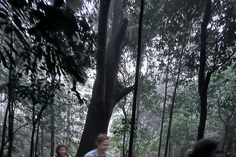 Rio de Janeiro: Christ the Redeemer Forest Hike