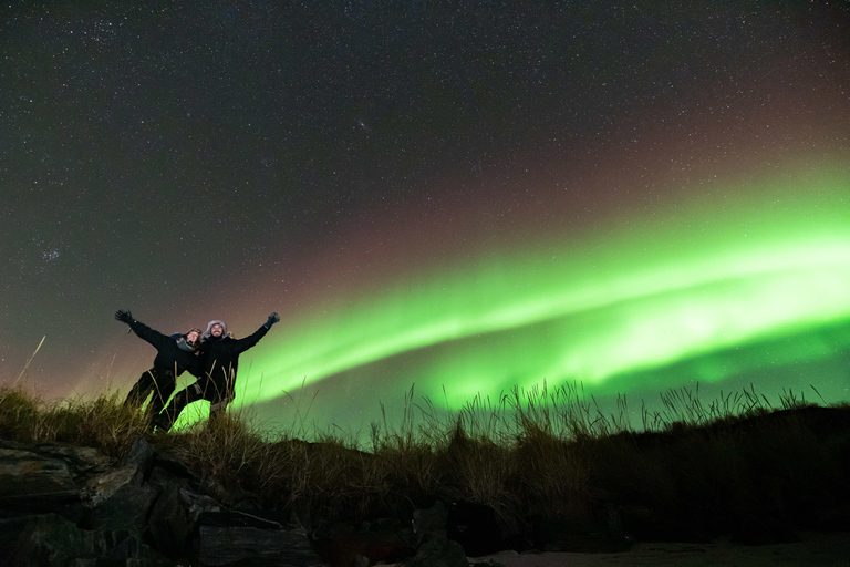 Tromsø: Northern Lights Chase by a comfortable bus