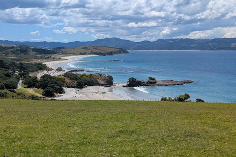 From Auckland: Kiwi Wilderness Experience Guided Tour