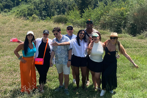 Tour di Siena e San Gimignano in van da Lucca o Pisa