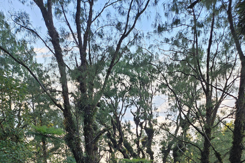 Bali: Mount Abang Guided Hike with Hotel Pickup