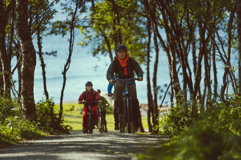 Tromsø: Explore Tromso by E-bike