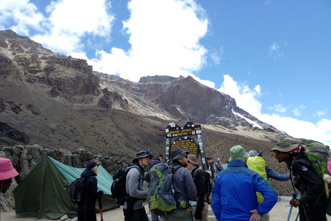 7 giorni di arrampicata di lusso sulla via lemosho del kilimanjaro