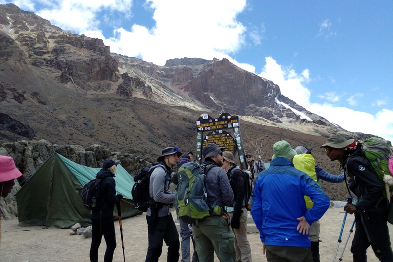 7 giorni di arrampicata di lusso sulla via lemosho del kilimanjaro