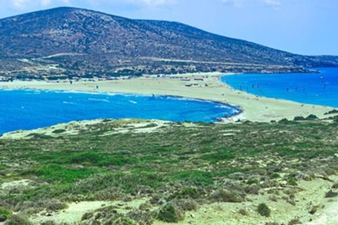 Rhodes: Island Round Tour With Wine Olive Oil, Honey Tasting