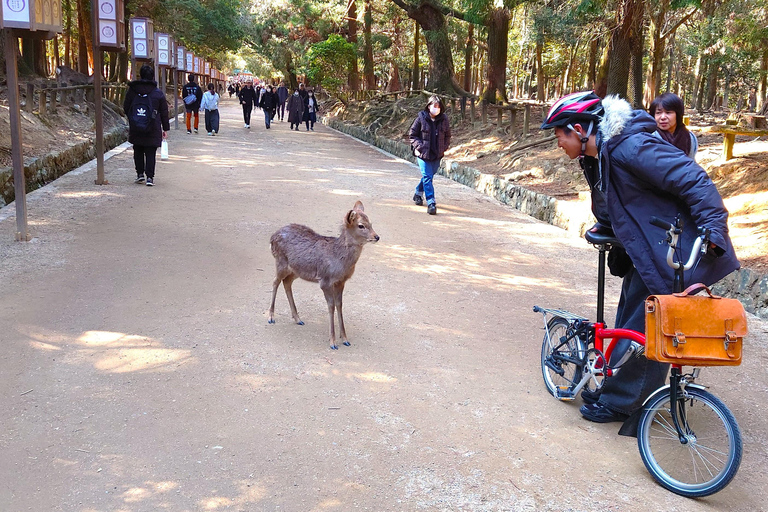 Nara UNESCO-listat världsarv Långsam cykeltur