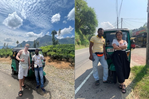 Depuis Kandy : Tour d'Ambuluwawa et visite de Pinnawala à Kandy
