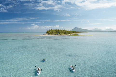 Maurice : kayak, dauphins sauvages, île Benitiers, rivièreMaurice : Kayak, dauphins sauvages, île Benitiers, rivière