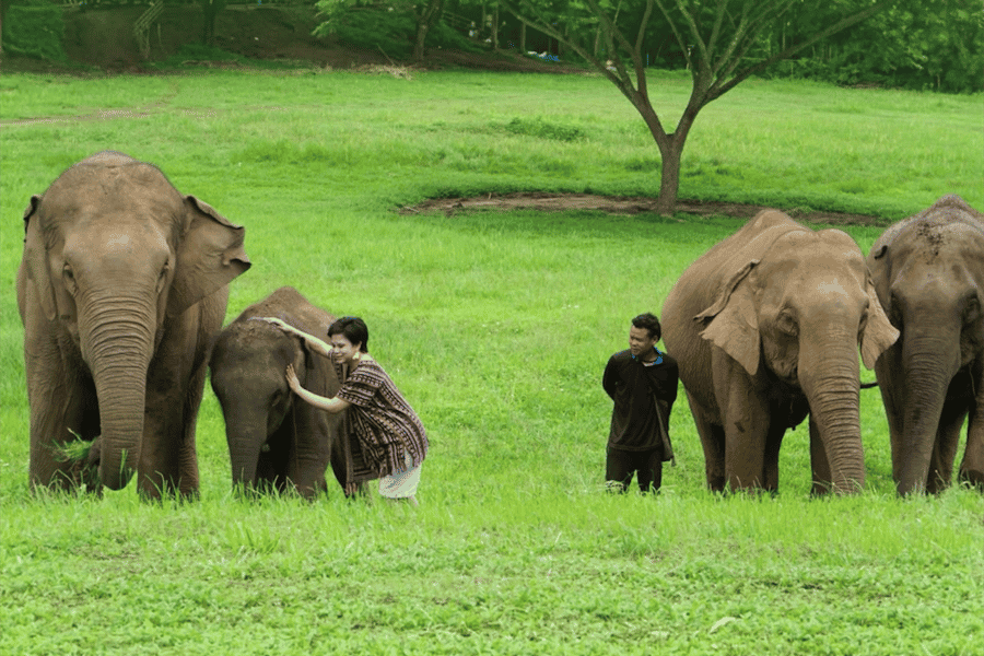Chiang Mai: Ethisches Elefantenerlebnis mit Hoteltransfer. Foto: GetYourGuide Chiang Mai: Ethisches Elefantenerlebnis mit Hoteltransfer. Foto: GetYourGuide