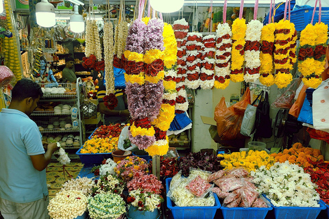 Singapore: Unravel Hidden Gems in a Private Customized Tour Private Customized Tour - 2 hours