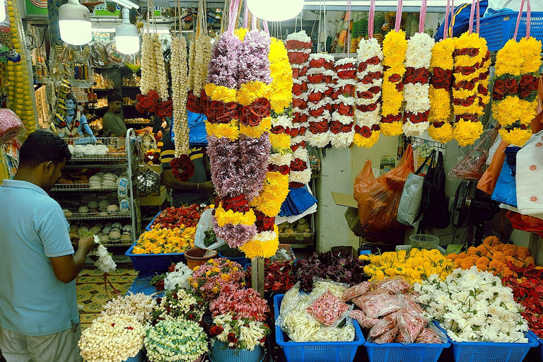 Singapore: Unravel Hidden Gems in a Private Customized Tour Private Customized Tour - 2 hours