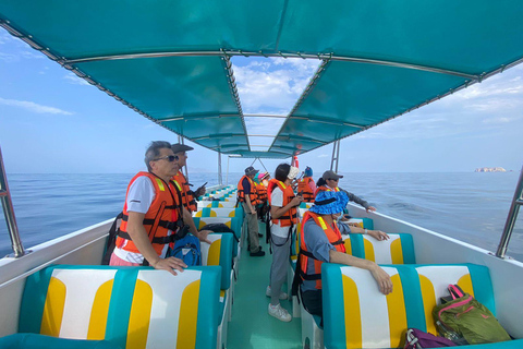 Premium Ballestas Islands Sightseeing Tour with Pick-up from Your Hotel in Paracas Premium Peninsula Sightseeing Tour with Pickup from Your Accommodation in Paracas
