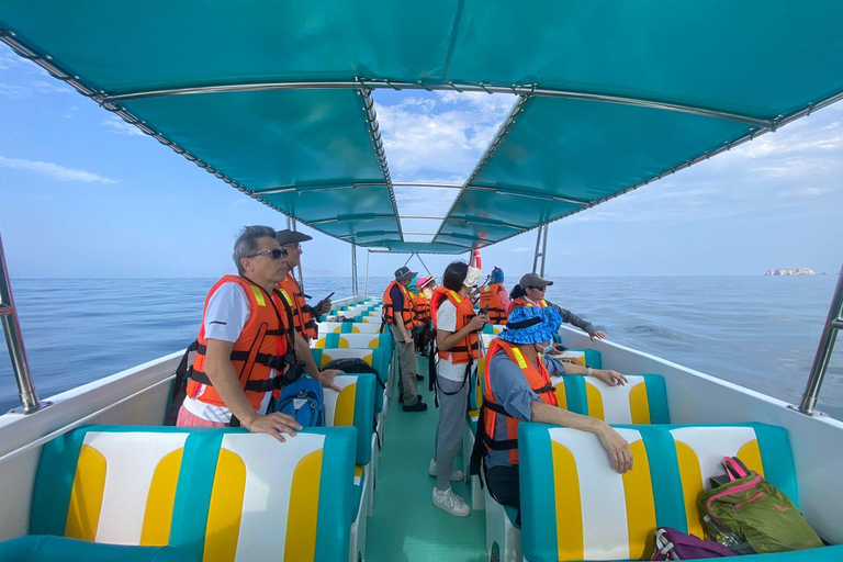 Premium Ballestas Islands Sightseeing Tour with Pick-up from Your Hotel in Paracas Premium Peninsula Sightseeing Tour with Pickup from Your Accommodation in Paracas