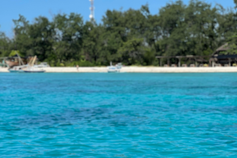 Gili Islands: Small-Group Snorkeling Tour with Photos