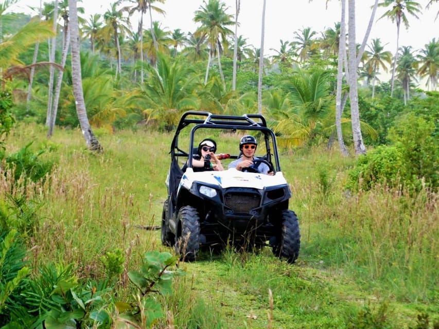 Samana Buggy Adventure From Samana GetYourGuide