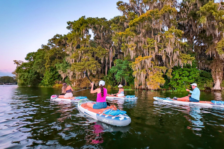 Orlando: Winter Park Paddle AdventureOrlando: Wycieczka na desce SUP w Winter Park