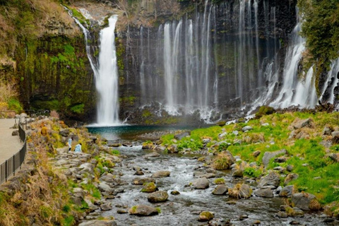Fuji: kultur, skog och utsikt – privat skräddarsydd turFuji-kultur, skog och naturskön utsikt: Privat skräddarsydd tur