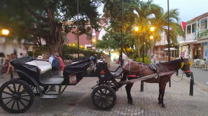 Galería de fotos para redes