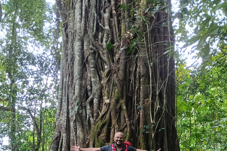 巴厘岛：莱松山两晚露营之旅·瀑布与玛永村探秘巴厘岛：2晚露营之旅，莱松山、瀑布与玛永村