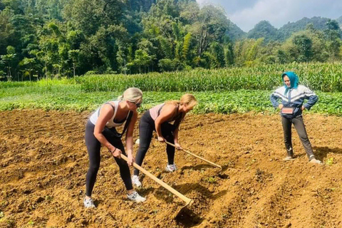 De Ha Noi: Excursão de 3 dias a Cao Bang Loop Visita uma aldeia local