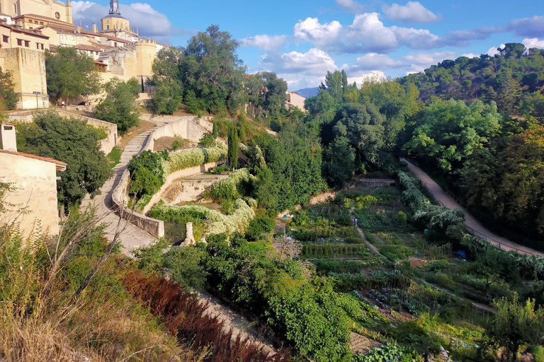 Von Madrid aus: Halbtages- oder Ganztagesausflug nach SegoviaHalbtagesausflug nach Segovia