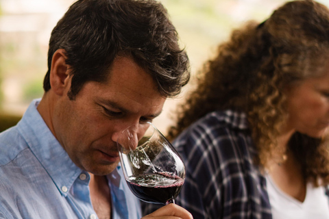 Douro Valley: Quinta Santa Júlia Tour, Wine Tasting & Lunch