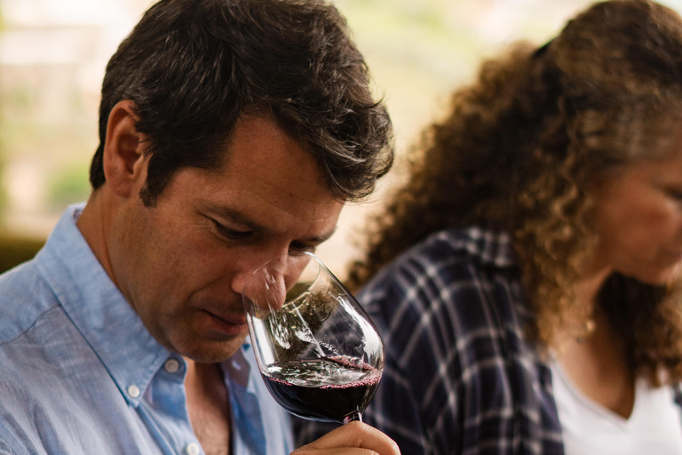 Douro Valley: Quinta Santa Júlia Tour, Wine Tasting & Lunch