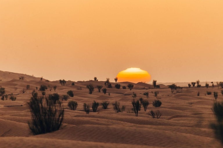 Ontdek de Sahara: Star Wars landschappen en oase retraites