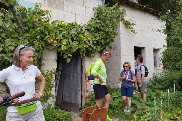 Chenonceau: giro guidato in ebike e pranzo al sacco con vino e formaggioDivertente tour in ebike a Chenonceau con degustazione di vini e formaggi