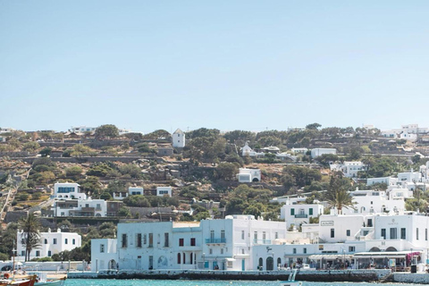 Aventure familiale en jeep à Mykonos : Ferme, vignoble et plage