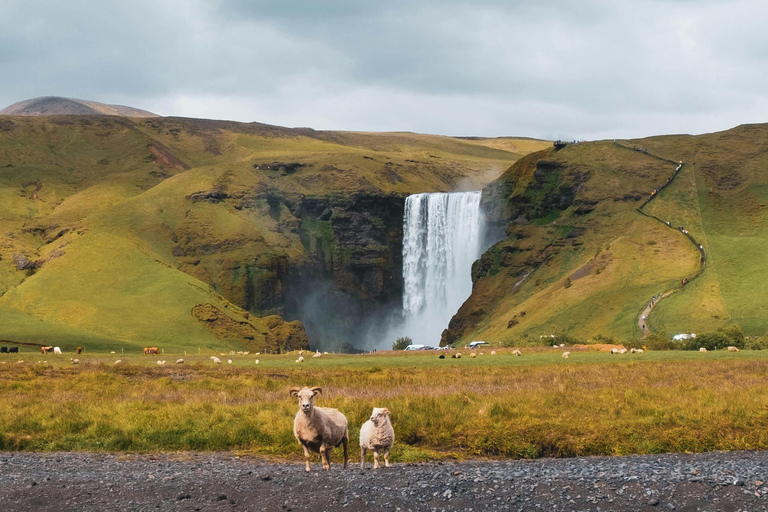 South Coast Private tour with Black Pizza & Glacier Hike