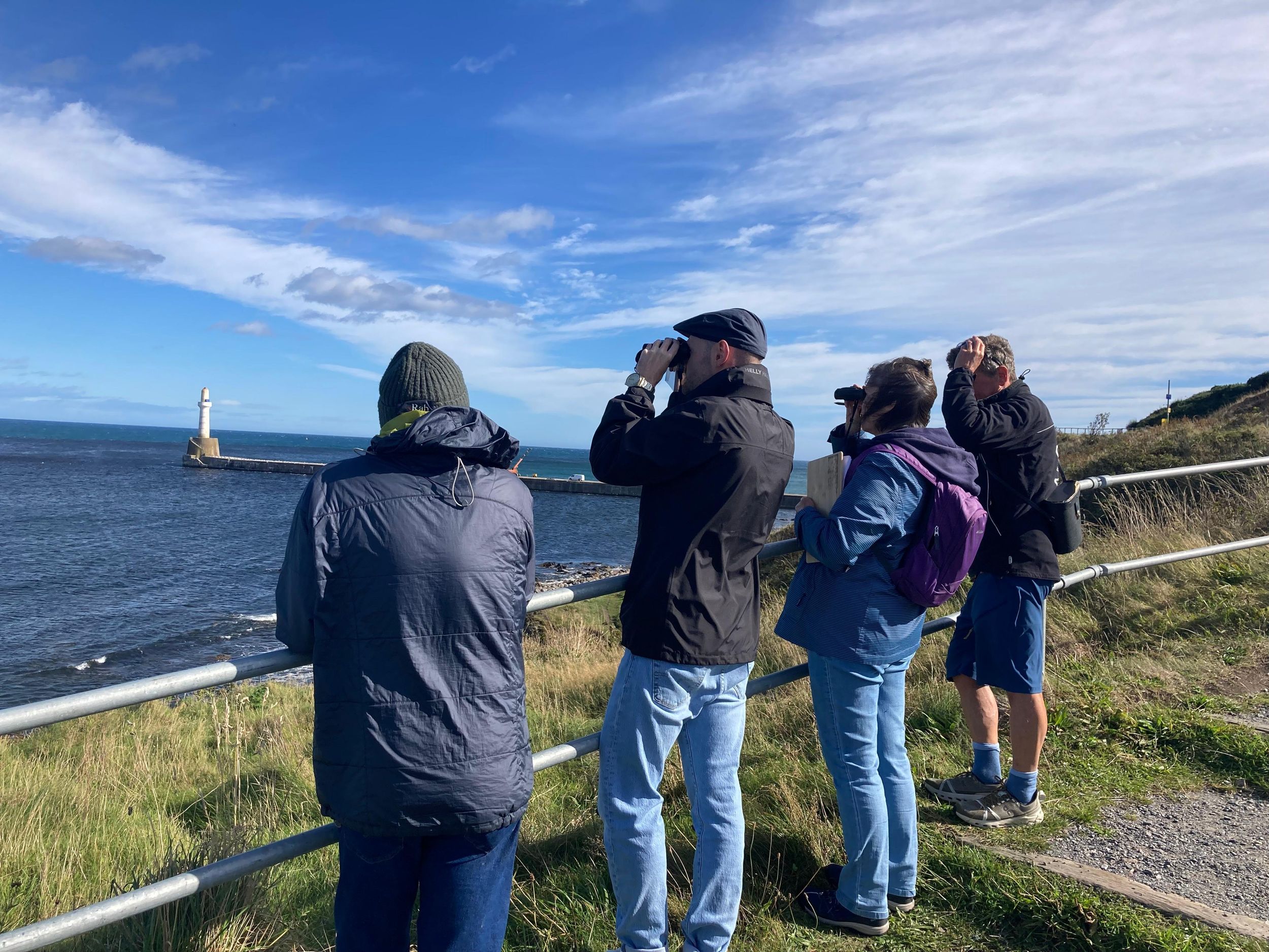 Aberdeen: Mini-Rundgang zu den Highlights der Küste der Greyhope Bay