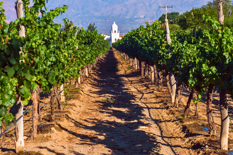 From Salta: Cafayate Full-Day Tour with Wine Tasting