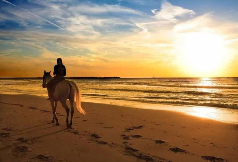 Phuket: Sunset Beach Horseback Journey