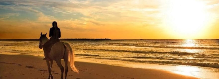 Phuket : Excursion à cheval sur la plage du coucher du soleil