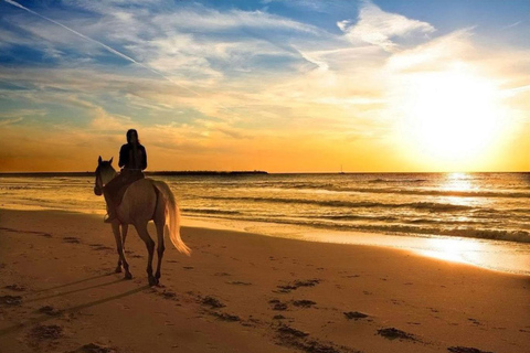 Excursion à cheval sur la plage du coucher du soleil de Phuket