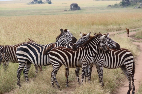 9-daagse Serengeti-safari met dagwandeling naar Kilimanjaro