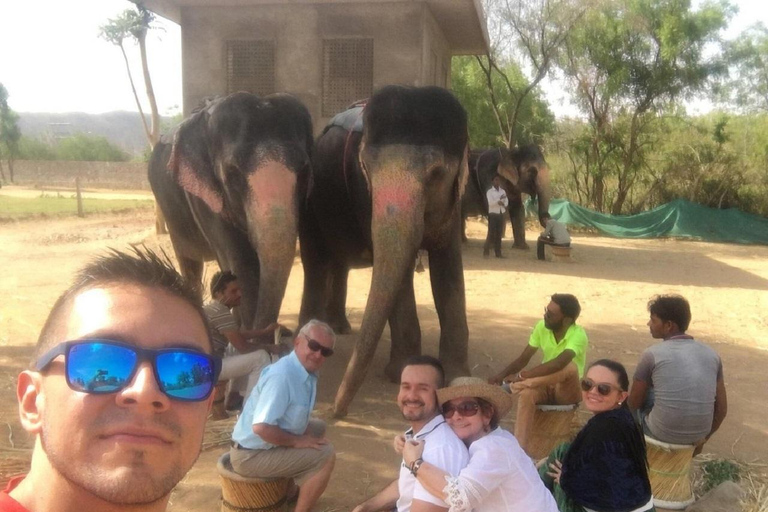 Jaipur: Hathigao Elephant Village Ride, Feeding, & Photos Riding, Feeding, Climbing And Photography with Elephant