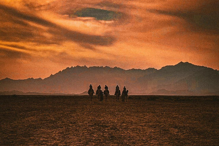 Hurghada: Hiking , dinner & stargazing Advanced hiking tour & camel ride