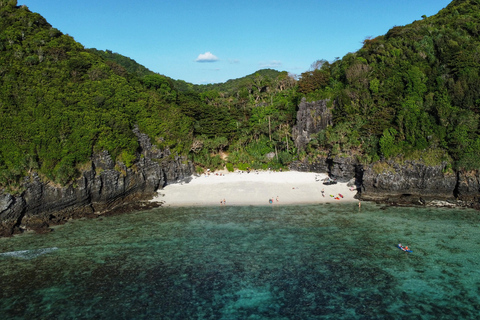 Phi Phi Excursión guiada por la selva y baño nocturno con planctonExcursión con guía de habla inglesa